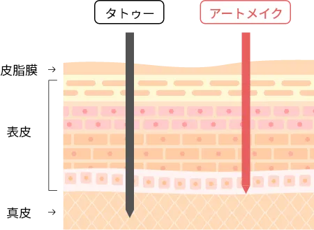 頭皮アートメイクとは– 髪が「薄く見えない」新しい選択肢 –
